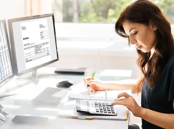 Audit Support Services
